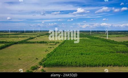 Vue aérienne des moulins à vent avec des arbres au premier plan Banque D'Images