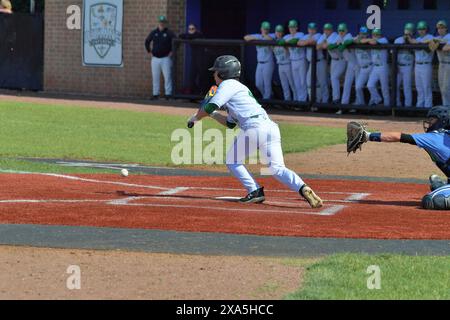 Illinois, États-Unis. Batter essayant de déposer un bunt de sacrifice pour faire avancer les baserunners. Banque D'Images