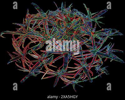 Créé à l'origine en 2005, un abstrait peint numériquement en utilisant les épines d'un cactus en tonneau comme référence. Non généré par IA. Banque D'Images