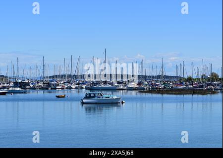 De nombreux bateaux dérivent près d'une marina tranquille Banque D'Images