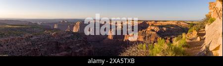 Lumière et ombre sur le haut Taylor Canyon dans l'île dans le Sky District, Canyonlands National Park, Moab, Utah. Banque D'Images