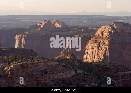 Lumière et ombre sur le haut Taylor Canyon dans l'île dans le Sky District, Canyonlands National Park, Moab, Utah. Banque D'Images