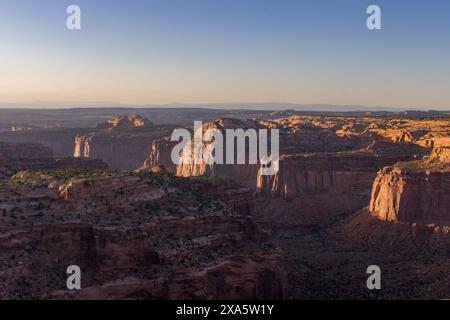 Lumière et ombre sur le haut Taylor Canyon dans l'île dans le Sky District, Canyonlands National Park, Moab, Utah. Banque D'Images