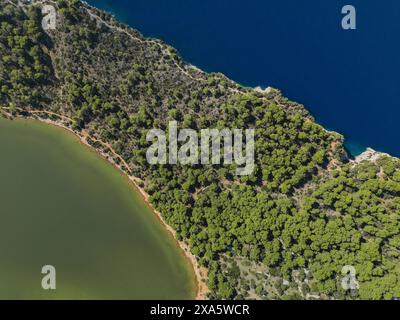 Drone vue directement d'en haut sur la forêt de conifères entre les eaux de la mer et le lac salé dans l'île de Dugi Otok, parc national de Telascica, Croatie Banque D'Images