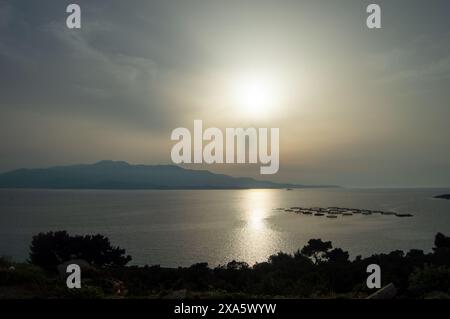 Lever de soleil sur la mer de colline avec des arbres Banque D'Images