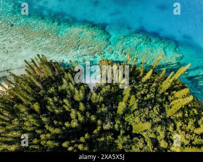 Une vue aérienne d'une île tropicale dans l'océan Pacifique. Banque D'Images