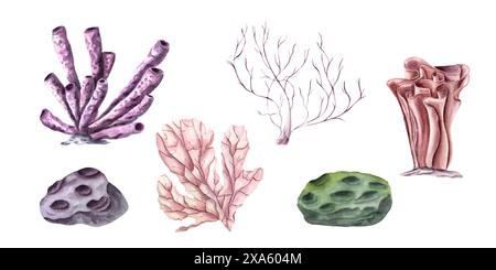 Ensemble corail. Polypes. Coraux de différents types et formes. Le monde sous-marin du lagon. Des roches marines qui ressemblent à des météorites. Faune marine. Banque D'Images