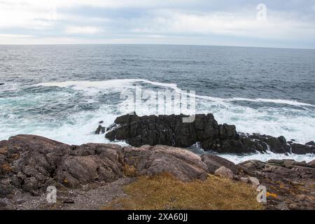 Côte accidentée à Louisbourg, Nouvelle-Écosse, Canada Banque D'Images