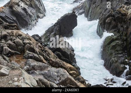 Côte accidentée à Louisbourg, Nouvelle-Écosse, Canada Banque D'Images