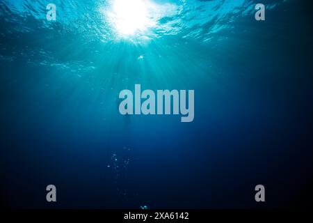 Une photo à angle bas de personnes plongeant sous la mer par une journée ensoleillée Banque D'Images