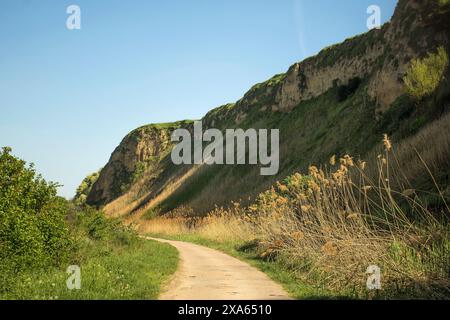 Une route de gravier sinueuse sur un flanc de montagne avec une végétation verte luxuriante et des herbes Banque D'Images