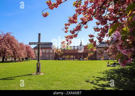 Découvrez la beauté enchanteresse des cerisiers en pleine floraison devant le musée GRASSI de Johannisplatz, Leipzig. Ces images captivantes sh Banque D'Images