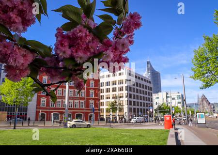 Découvrez la beauté enchanteresse des cerisiers en pleine floraison devant le musée GRASSI de Johannisplatz, Leipzig. Ces images captivantes sh Banque D'Images