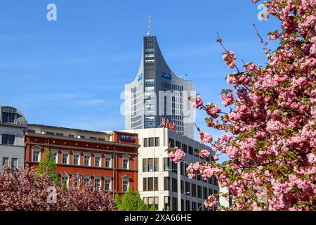 Découvrez la beauté enchanteresse des cerisiers en pleine floraison devant le musée GRASSI de Johannisplatz, Leipzig. Ces images captivantes sh Banque D'Images