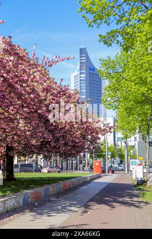 Découvrez la beauté enchanteresse des cerisiers en pleine floraison devant le musée GRASSI de Johannisplatz, Leipzig. Ces images captivantes sh Banque D'Images