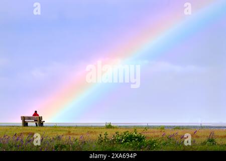Arc-en-ciel de la mer de Salish. Nuages et arc-en-ciel au-dessus des marais de Garry point sur le bord de la mer des Salish. Richmond, Colombie-Britannique, Canada près de Vancouver Banque D'Images