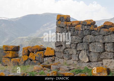 Un paysage pittoresque avec des rochers dispersés dans une prairie herbeuse près des montagnes Banque D'Images