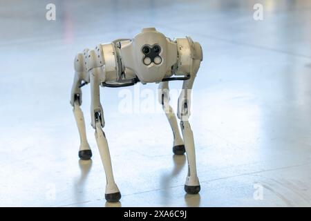 Chien robot militaire gris lors d'une démonstration Banque D'Images