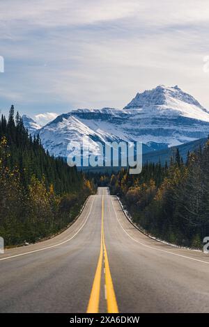 Une vue panoramique d'une route serpentant à travers la forêt de montagne enneigée Banque D'Images