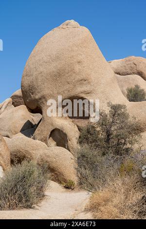 Le parc national de Joshua Tree en Californie, États-Unis Banque D'Images