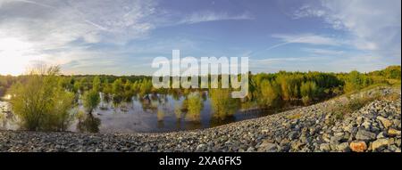 Vue panoramique sur la rivière et la forêt capturée d'en haut Banque D'Images