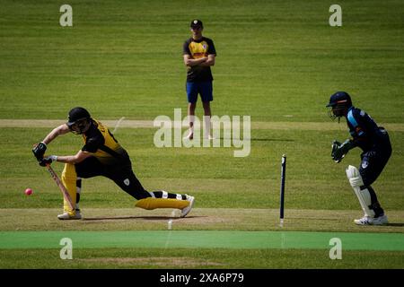 batsman joue un tir défensif avant Banque D'Images