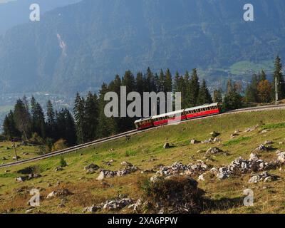 Un train qui traverse les montagnes à Grindelwald, Suisse Banque D'Images