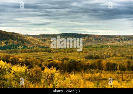 Une vue panoramique sur les bois de Bucium près de Iasi, Roumanie Banque D'Images