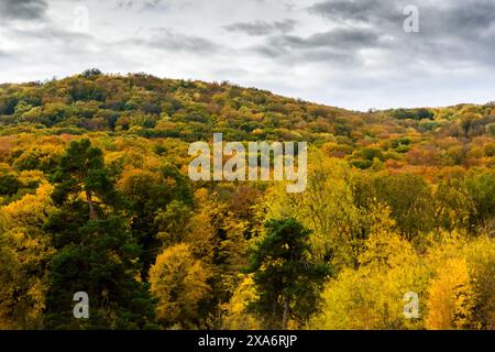 Une vue panoramique sur les bois de Bucium près de Iasi, Roumanie Banque D'Images