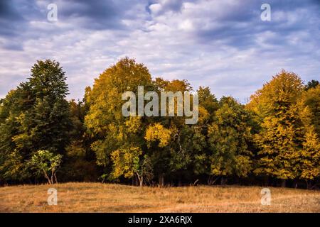 Une vue panoramique sur les bois de Bucium près de Iasi, Roumanie Banque D'Images