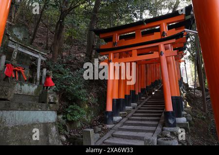 Une entrée du sanctuaire avec de nombreuses marches montantes et des portes torii Banque D'Images