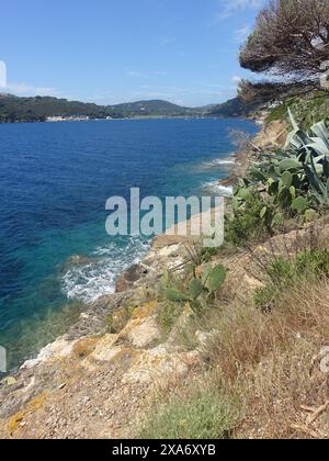 île luxuriante avec feuillage vert et eaux bleues cristallines en arrière-plan Banque D'Images