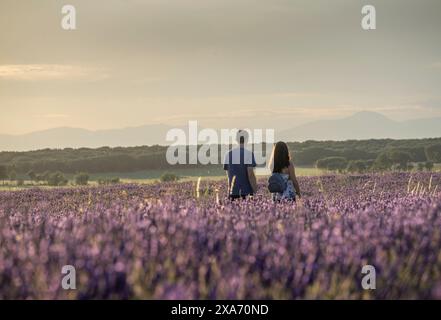 Couple marchant dos à dos pendant le coucher du soleil à travers les champs de lavande à Brihuega juste avant la saison des récoltes, profitant de la sérénité Banque D'Images