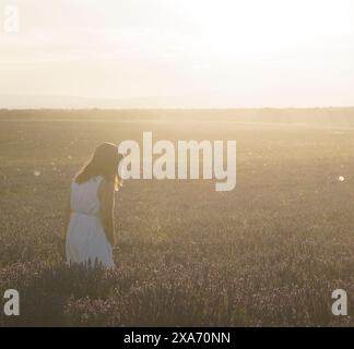 Une femme seule marche à travers les vastes champs de lavande à Brihuega, un jour de juillet brûlant, sous la lumière dorée. Banque D'Images