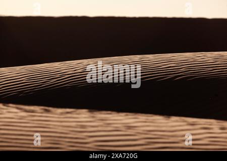 Afrique, Maroc, Zagora, Sahara, Erg Lehoudi, dunes de sable avec des modèles de vent Banque D'Images