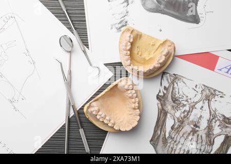 Modèle dentaire avec gencives, cartes anatomiques et outils de dentiste sur table en bois gris, pose à plat. Fonte de dents Banque D'Images