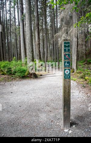 Le parc régional de la rivière Capilano à North Vancouver, Colombie-Britannique, Canada comprend le barrage de Cleveland, le réservoir de Capilano, des aires de pique-nique, un camp, Banque D'Images