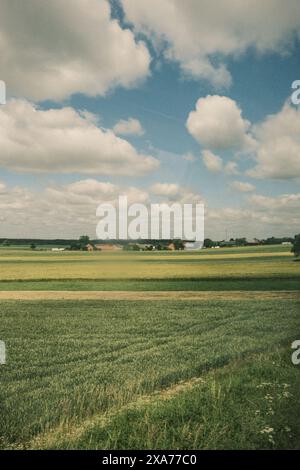 Une vue à travers la fenêtre de la voiture sur un vaste champ vert dans la campagne polonaise Banque D'Images