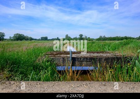 un paysage naturel calme avec un ruisseau d'eau stagnante, avec un vieux pont piétonnier en béton au-dessus Banque D'Images