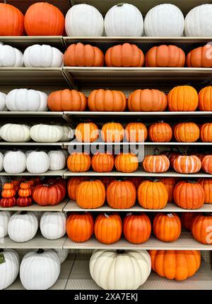 Un plan de citrouilles assorties empilées sur des étagères métalliques, y compris des variétés blanches et oranges Banque D'Images