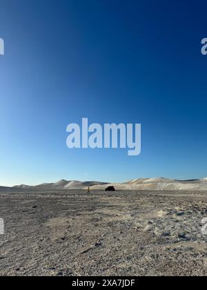 Un paysage désertique désolant avec des dunes enneigées sous un ciel bleu clair Banque D'Images