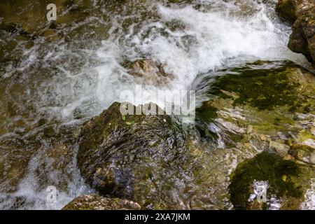 Les rochers couverts de mousse le long d'un ruisseau qui coule rapidement Banque D'Images