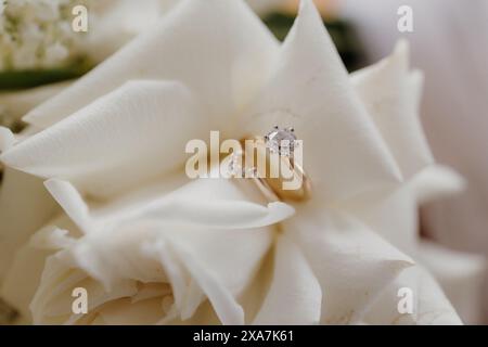 Anneaux de mariage reposant sur des fleurs avec des tiges vertes en arrière-plan Banque D'Images