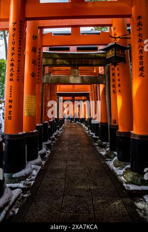 Neige rare d'hiver à l'ancien tunnel de la porte de Torii au sanctuaire Fushimi Inari à Kyoto au Japon. Poutres oranges et noires avec lanternes japonaises traditionnelles Banque D'Images