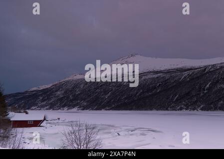 Terrain enneigé avec des arbres sur le rivage Banque D'Images