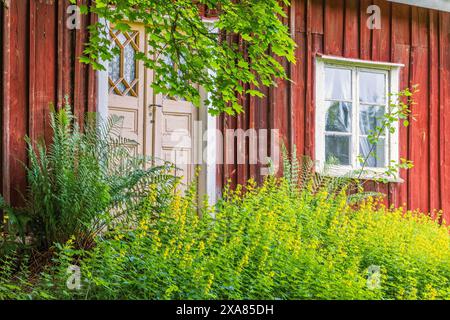 Porte et fenêtre sur un cottage rouge idyllique en bois avec un jardin envahi de fleurs en fleurs, Suède Banque D'Images