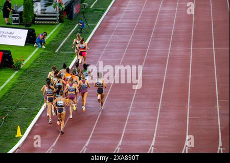 OSTRAVA, TCHÉQUIE, 28 MAI 2024 : course féminine d'athlétisme du 800 mètres. Athlètes féminines d'athlétisme en action Banque D'Images