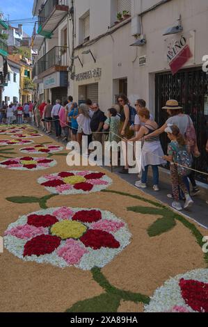 Sitges, Barcelone, Espagne-03 juin 2024 : tradition et créativité se rejoignent dans cette image d'une célébration où les rues sont ornées de fleurs de Banque D'Images