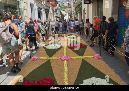 Sitges, Barcelone, Espagne-03 juin 2024 : événement culturel capte l'attention avec un tapis floral détaillé s'étendant à travers le trottoir tandis que les gens obs Banque D'Images