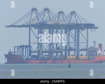 Sheerness, Kent, Royaume-Uni. 5 juin 2024. Un navire transportant quatre grues équilibrées sur le pont - le navire de transport lourd Zhen Hua 36 a voyagé de Shanghai, en Chine pour livrer quatre grues de quai à London Gateway ce matin - photo prise depuis Sheerness, Kent. Crédit : James Bell/Alamy Live News Banque D'Images